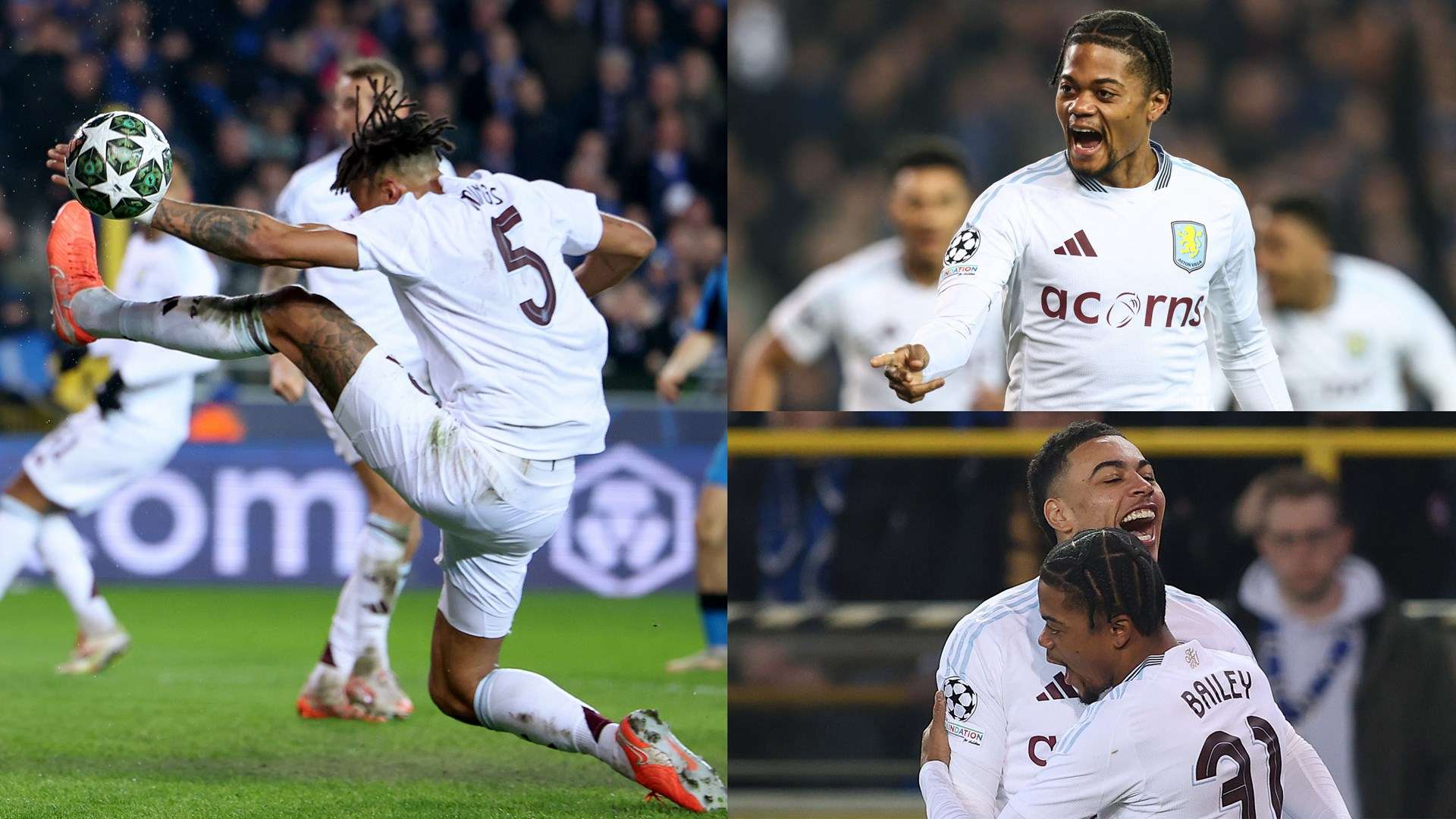 掘潛力新星 掘潛力新星